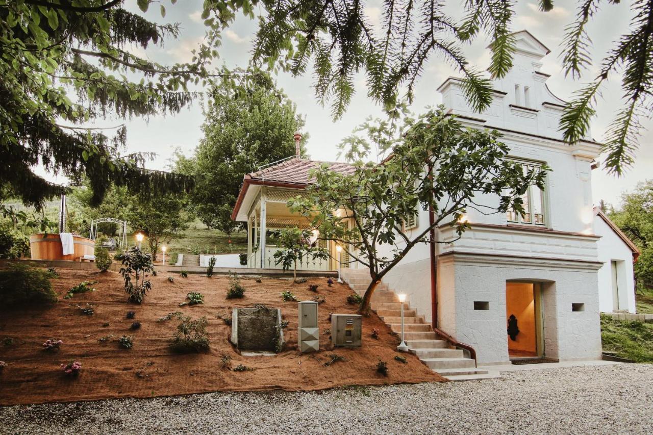 Vila Vilma Vineyard Cottage Lendava Exterior photo