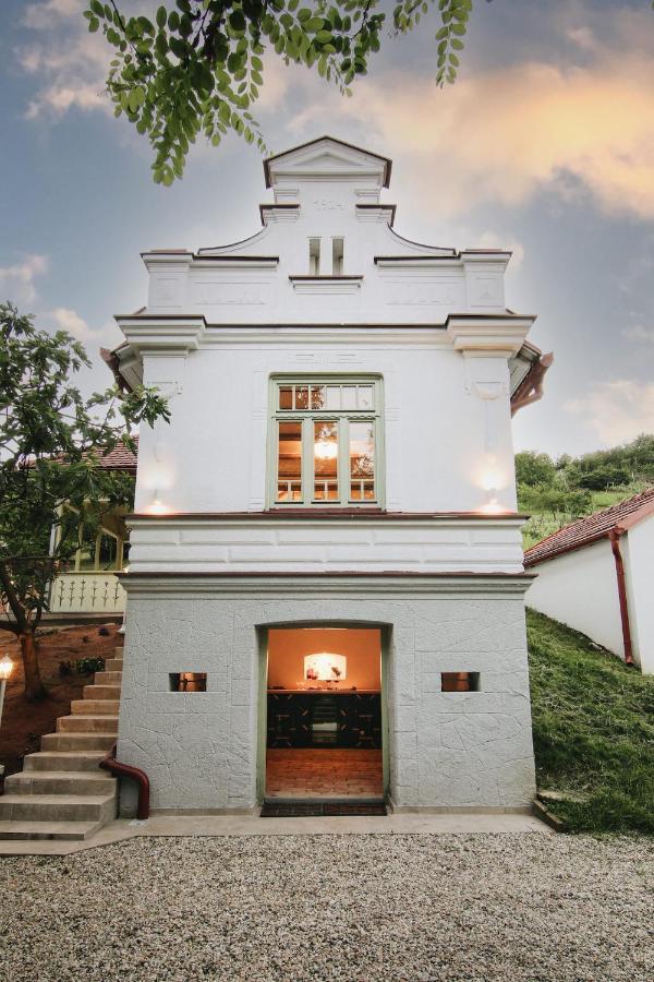 Vila Vilma Vineyard Cottage Lendava Exterior photo